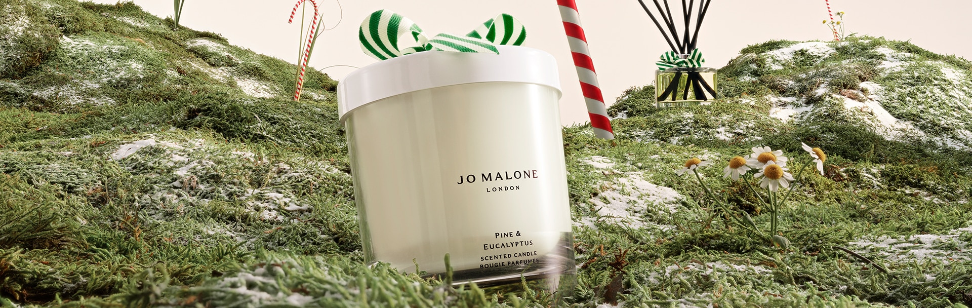 Pine and eucalyptus jo malone online