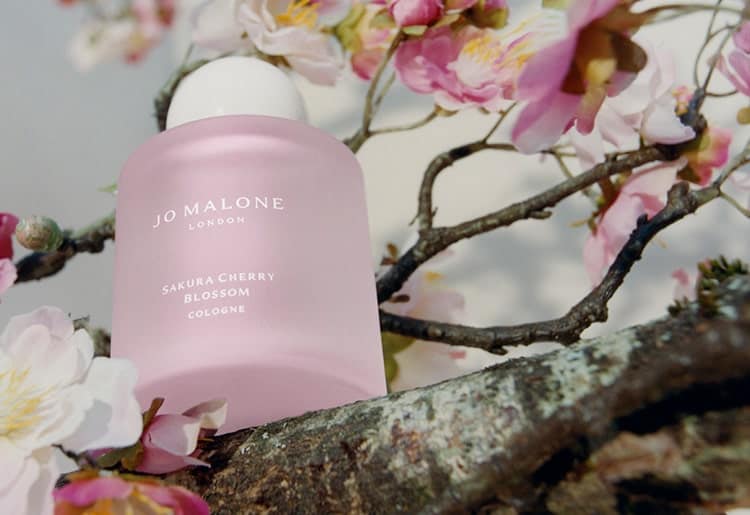 Sakura Cherry Blossom Jo Malone London