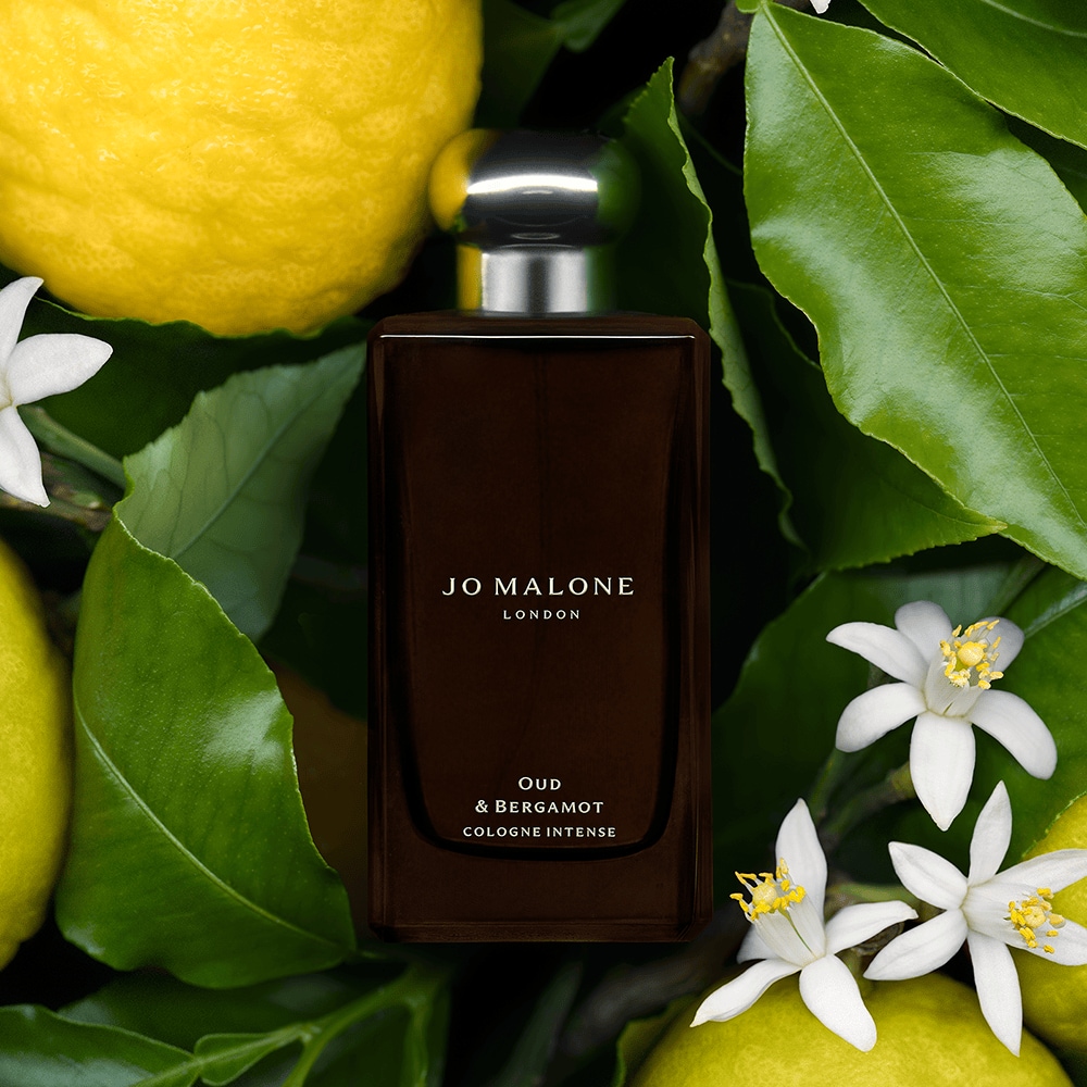Oud & Bergamot Cologne Intense | Jo Malone London 香港官方網店